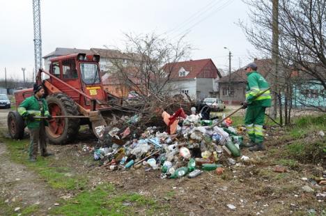 Curăţenie la final: Campania orădeană de curăţenie de primăvară mai continuă o săptămână (FOTO)