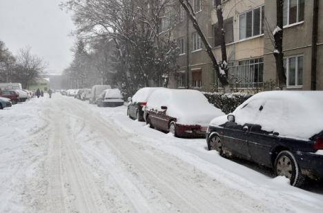 Zăpada a acoperit Oradea. Echipajele RER acţionează pentru curăţarea drumurilor (FOTO)