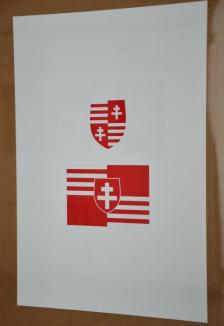 Ce mai coace PPMT: un steag al Regiunii Partium, după modelul celui al Ţinutului Secuiesc (FOTO)