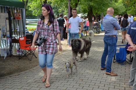 Spectacol cu "lipici" în Parcul Bălcescu: Căţeii se întrec în frumuseţe (FOTO)
