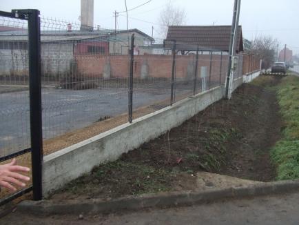 Din gunoaie, parc: Primăria Giriş a plantat puieţi de Pawlonia şi vrea pistă pentru motocros! (FOTO)