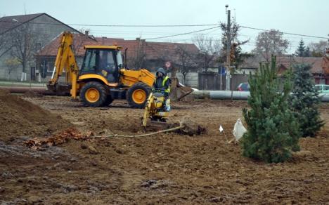 RDS&RCS investeşte 45.000 euro în parcul Xenopol, ca să compenseze mizeria făcută cu lucrările de canalizaţie (FOTO)