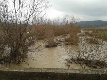 Peste 600 de hectare de teren inundate după ploile din weekend (FOTO)