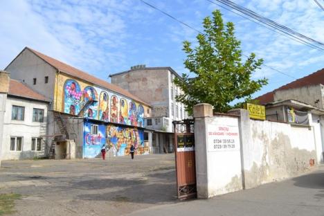 Traficanţii de cultură se adună la Oradea: muzică, pictură, filme şi teatru la fosta fabrică Rovex (FOTO)
