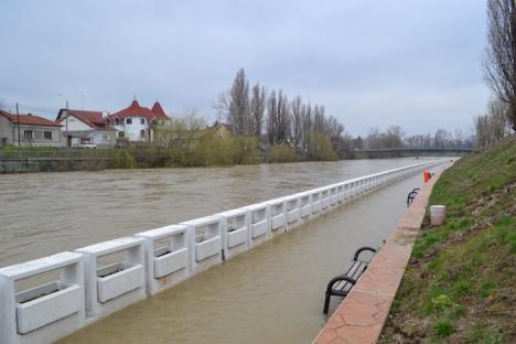 Peste 600 de hectare de teren inundate după ploile din weekend (FOTO)