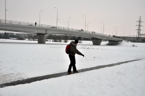 Distracţie periculoasă: Mai mulţi copii au ieşit la săniuş pe Criş (FOTO)