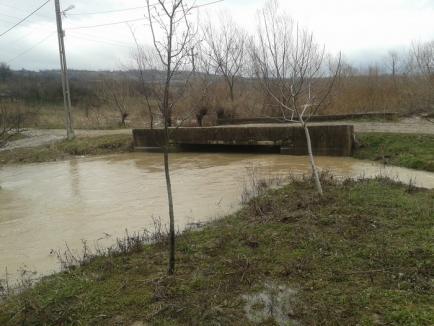 Peste 600 de hectare de teren inundate după ploile din weekend (FOTO)