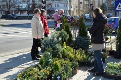 Cele mai noi tendinţe de amenajare de grădini şi terase, la Lotus Center (FOTO) 