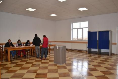 DN 76, drum nerecomandat turismului electoral: În Depresiunea Beiuşului s-a votat "regulamentar" (FOTO)