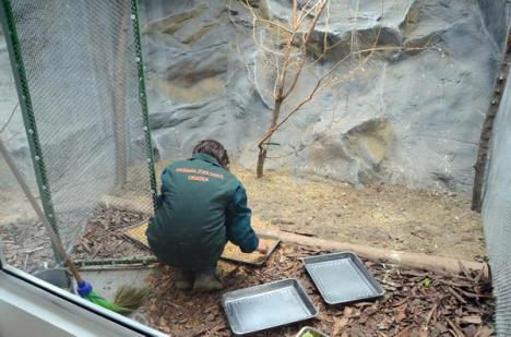 Lucrările de modernizare şi extindere a Grădinii Zoologice au fost finalizate (FOTO) 