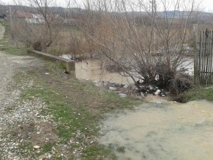 Peste 600 de hectare de teren inundate după ploile din weekend (FOTO)