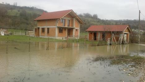 Lacustră de Bihor: Inundaţiile din Husasău scot peri albi localnicilor (FOTO)