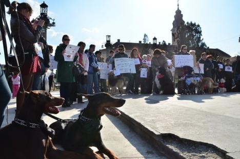 Protest împotriva eutanasierii câinilor: "Andrica şi Bolojan, câinii au atât drept la viaţă cât aveţi şi voi!" (FOTO)