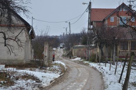 Satul din Oradea: Locuitorii din cartierul Podgoria duc o viaţă de ţărani din vârf de munte (FOTO)