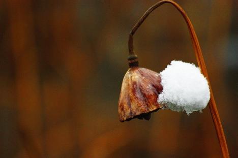 "Timpul din noi", expoziţie de fotografii Adela Rusu, la Galeria Euro Foto Art