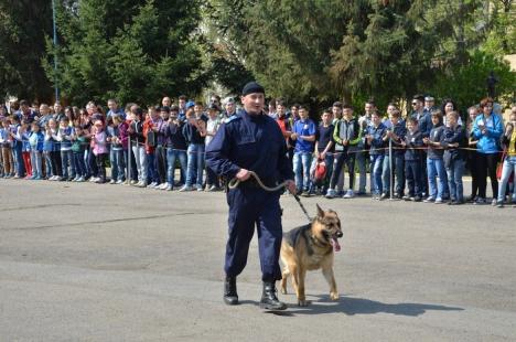 Focuri de armă, câini de intervenţie şi lupte în curtea Jandarmeriei, de ziua instituţiei (FOTO/VIDEO)
