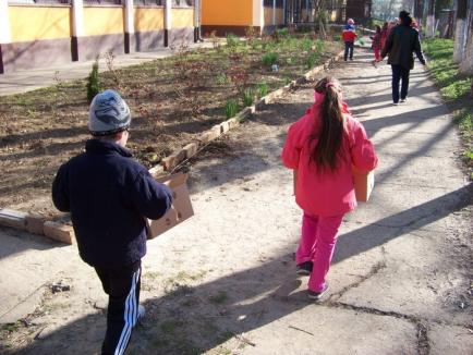 Micii grădinari: Elevii au plantat narcise în faţa Liceului Lucian Blaga (FOTO)