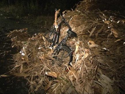 Seara accidentelor: Un mort şi doi răniţi lângă Cherechiu, alte patru victime la ieşirea din Ineu (FOTO)