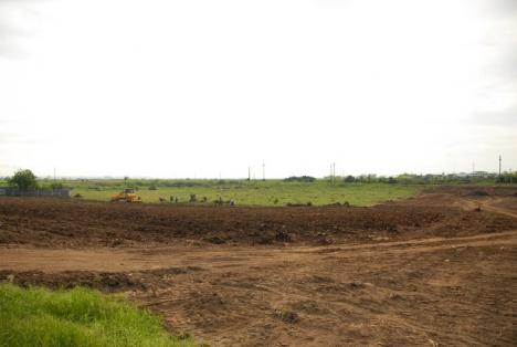 Parcul din pădure: Un primar a ras 2,6 hectare de salcâmi ca să facă un parc, deşi nu are bani (FOTO)