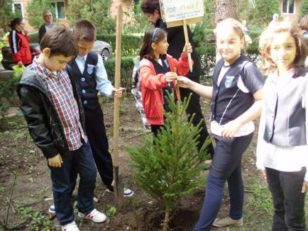 Au plantat copaci, pentru pace! (FOTO)