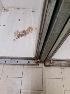 Magazinele Lidl din Bihor, sancționate de OPC. Ce au găsit inspectorii în supermarketuri (FOTO)