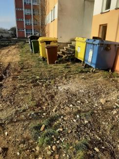 Constructori de gunoaie: De ce s-a umplut de mizerii curtea Colegiului Național Avram Iancu din Ștei (FOTO)