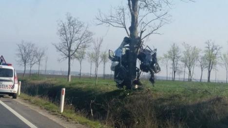 Accident teribil între Valea lui Mihai şi Tarcea: Şoferul a murit, iar maşina, un Audi A6, a rămas agăţată în copac