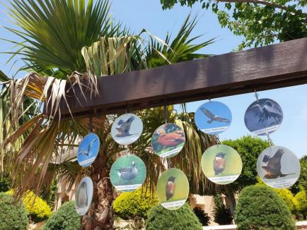 Hello, Antalya! Ce obiective turistice poţi vedea în cea mai cunoscută regiune din Turcia. Zboruri direct din Oradea (FOTO)