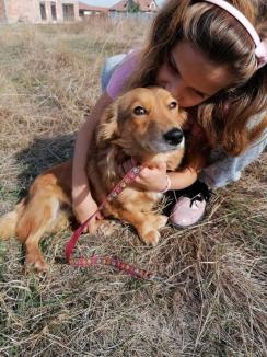 Antonia, salvatoarea: Povestea iubitoarei de câini din Bihor care a descoperit 'groapa morţii' de la Berechiu (FOTO)