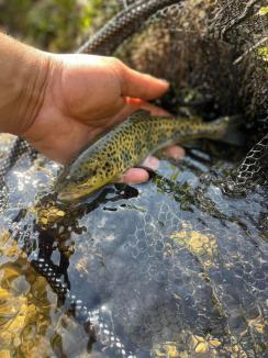 Pescari de elită: Doi orădeni se află în lotul României pentru Campionatul mondial de pescuit urban (FOTO)