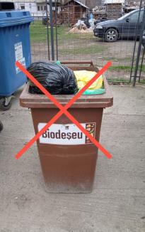 AVE Bihor: Când NU ridicăm pubela destinată deșeurilor biodegradabile și de ce?