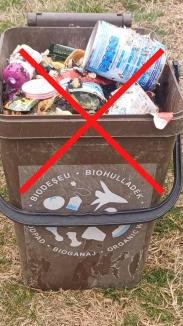 AVE Bihor: Când NU ridicăm pubela destinată deșeurilor biodegradabile și de ce?
