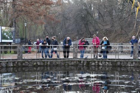 Alegeri în pandemie. Doar 38 de alegători au votat pe listele suplimentare în „secția turiștilor” din Băile Felix (FOTO / VIDEO)