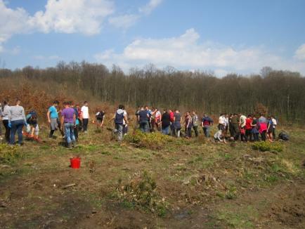 Rădăcini pentru Bihor: Sute de voluntari au împădurit județul (FOTO)
