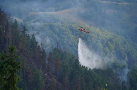 Incendiile în natură, tot mai dese în Bihor. Prefectura le cere primăriilor măsuri preventive, iar bihorenilor simț civic