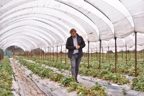 CAP pe stil nou: Un beiușean a fondat cea mai mare cooperativă agricolă din Bihor. Vezi cu ce rezultate! (FOTO)