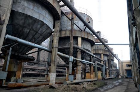 Cernobîl de Oradea: Angajaţii CET-ului muncesc în maldăre de pulbere, cu masca pe figură (FOTO)