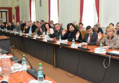 Cu împotrivirea PSD-iştilor, aleşii bihorenilor au aprobat două noi asociaţii la care Consiliul Judeţean să fie parte