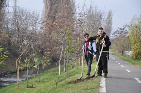 Cercetaşii orădeni, la plantări de arbori pe malul Peţei (FOTO)