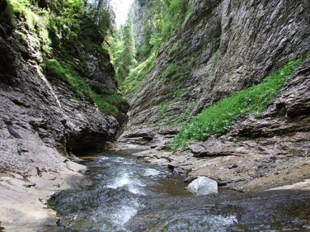 Maghiar de 74 de ani, salvat de jandarmi şi salvamontişti după ce a căzut pe un traseu din Vlădeasa