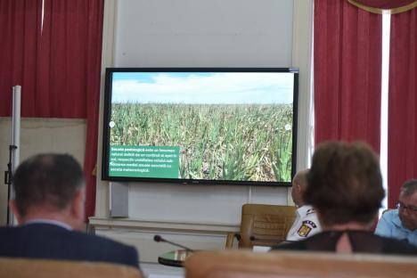 Șefa ANM, în Colegiul Prefectural Bihor: seceta se extinde. ABA Crișuri: în 2 luni s-au „evaporat” 30 milioane de metri cubi de apă (FOTO)