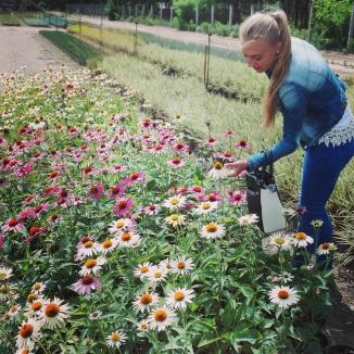 Artişti... de verde: Doi tineri îi invită pe orădeni într-o grădină să se bucure de flori... schimbătoare (FOTO)