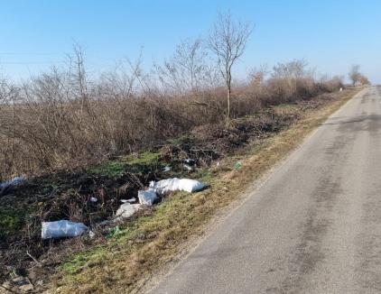 Câte tone de deșeuri credeți că au fost strânse de pe drumurile județene din Bihor anul trecut?