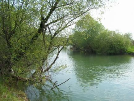 Aproape toate apele din Bihor respectă "cerinţele" Uniunii Europene