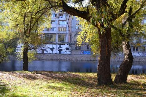 Toamna a îmbrăcat Oradea în culori arămii (FOTO)
