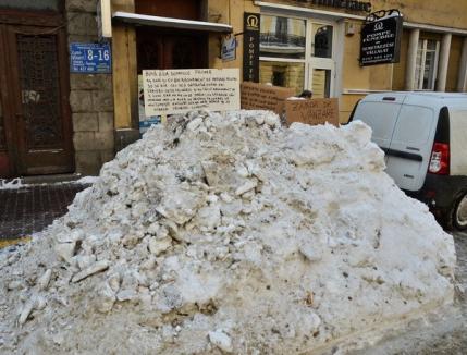Protest inedit: Un orădean a scos la vânzare zăpada din faţa casei (FOTO)