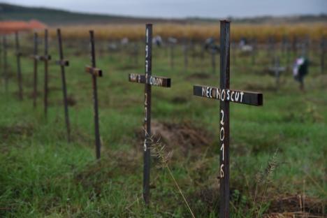 Singuri în moarte: În satul Dumbrava din Bihor a apărut un cimitir al oamenilor nimănui, cu peste 600 de morminte (FOTO / VIDEO)