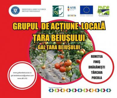 GAL Ţara Beiuşului anunţă lansarea sesiunii de cerere de proiecte proiecte LEADER pentru măsura 2/ 2B 'Sprijin pentru exploataţiile agricole'