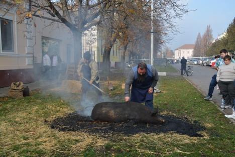 Vacanţă cu de toate: Oraşele din estul Ungariei îmbie turiştii români cu băi termale şi festivaluri de tot felul (FOTO)