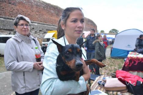 Parada câinilor, în Cetatea Oradea: Halloween Dog Show! (FOTO / VIDEO)